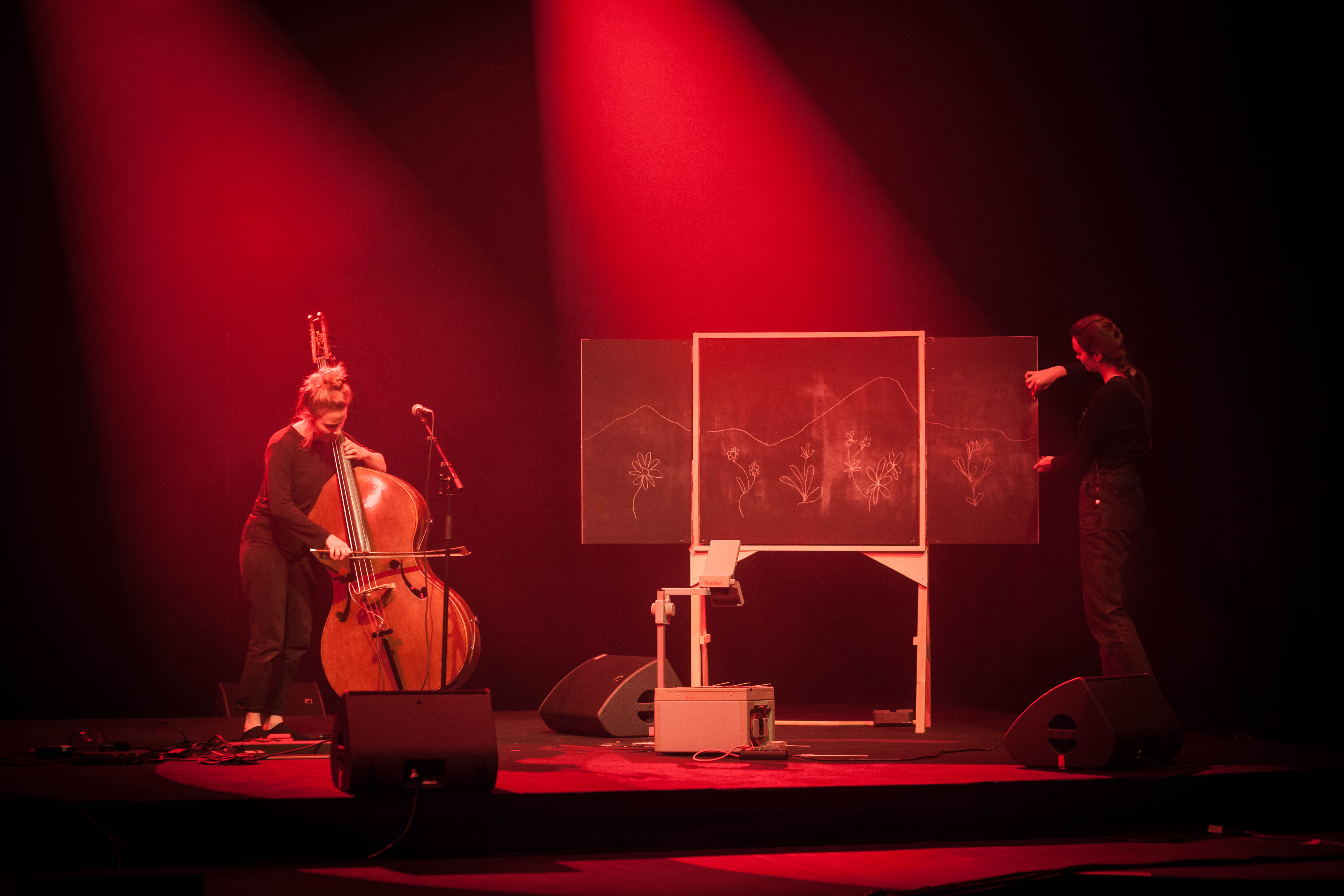 Le retour des fleurs